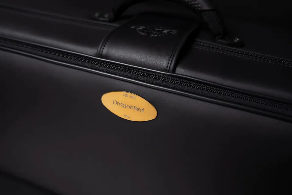 Selmer Dragon Bird tenorsaxofoon koffer Pro-Light