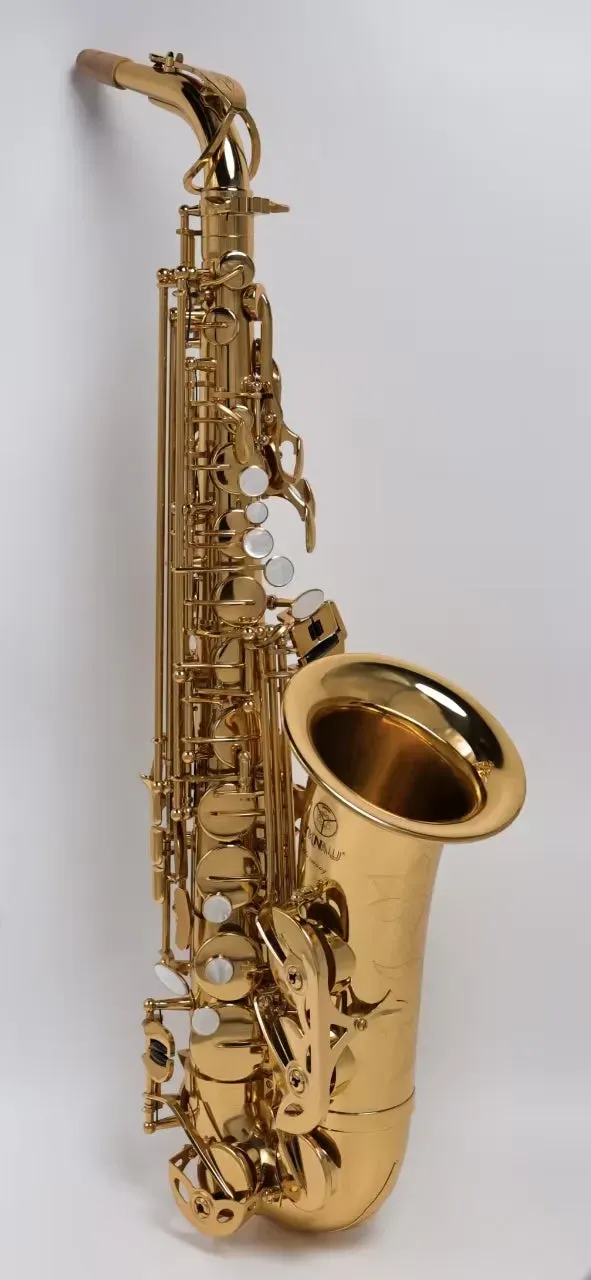 YK Harmony 51 altsaxofoon goud licht