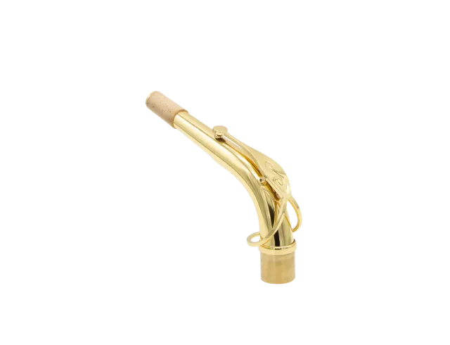 Selmer Paris Axos hals altsaxofoon gelakt homogeen
